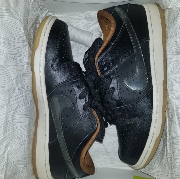 nike sb dunk low rain